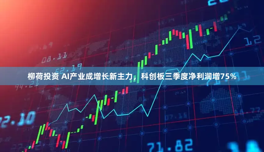 柳荷投资 AI产业成增长新主力，科创板三季度净利润增75%